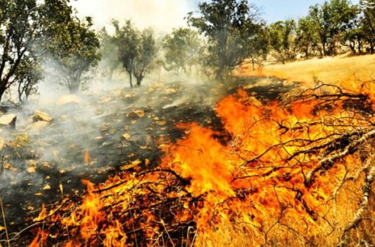 آتش‌سوزی در چندین هکتار از پسماندهای کشاورزی «پلدختر»