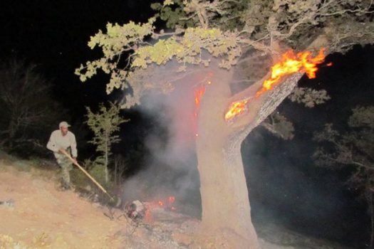 جنگل‌ها و مراتع کوه‌های «بن لار» پلدختر در آتش سوخت