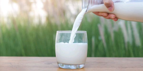 پیشنهاد ستاد تنظیم بازار برای تعادل بازار شیر