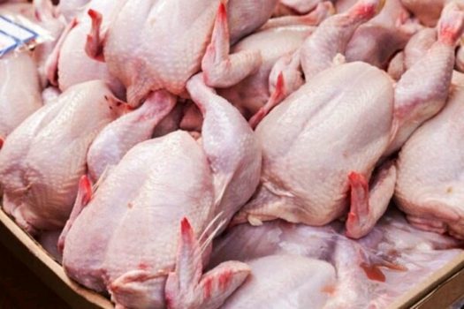 بیش از ۱۲۰۰ تن مرغ گرم از نیمه دوم بهمن وارد بازار خرم‌آباد می‌شود