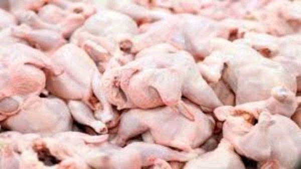 ثبات بازار تولید مرغ در لرستان