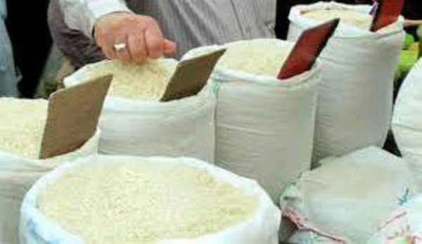 می‌خواهند برنج داخلی کیلویی ۱۰۰ هزار تومان شود