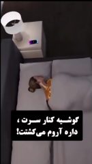 عوارض نزدیک بودن گوشی در هنگام خواب !