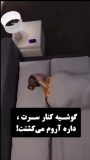 عوارض نزدیک بودن گوشی در هنگام خواب !