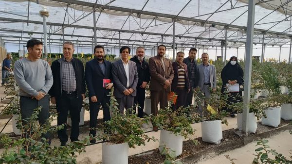 بازدید کمیته نظارت کارگروه اشتغال و سرمایه گذاری استان از طرح های اقتصادی تبصره ۱۸ قانون بودجه سنواتی  