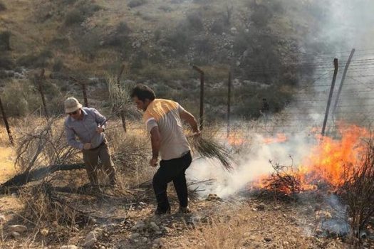 آتش سوزی مزارع دهستان رباط نمکی پیگیری می‎شود