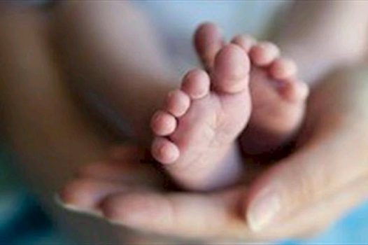 هر ساعت ۳ نوزاد در لرستان متولد می‌شود