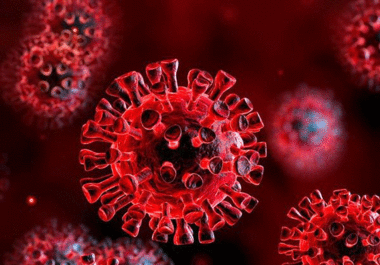 انتقال ویروس از طریق خون، اشک و مدفوع صحت دارد؟