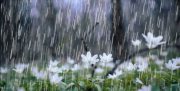 کاهش ۳۸ درصدی بارش‌ها در لرستان