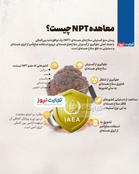 اینفوگرافی:معاهده NPT چیست؟ اینفوگرافی:معاهده NPT چیست؟