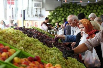 سیب زمینی و پیاز ارزان شد