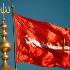 خاکی ترین افلاکیان…: نوشین نظری