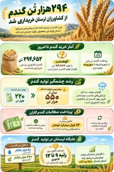 اینفوگرافی