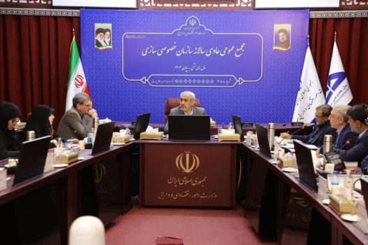وزیر اقتصاد در مجمع عمومی سازمان خصوصی سازی: اصلاح فرایندها برای تسریع واگذاری اموال مازاد دولت در اولویت سازمان خصوصی‌سازی باشد